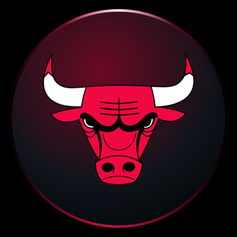 Chicago Bulls design preview